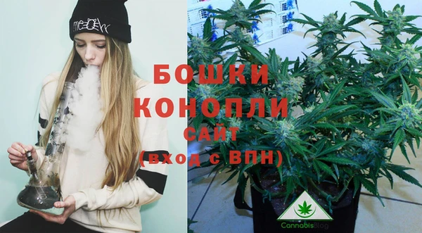 дмт Струнино