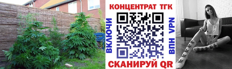 ТГК Wax  Первоуральск 
