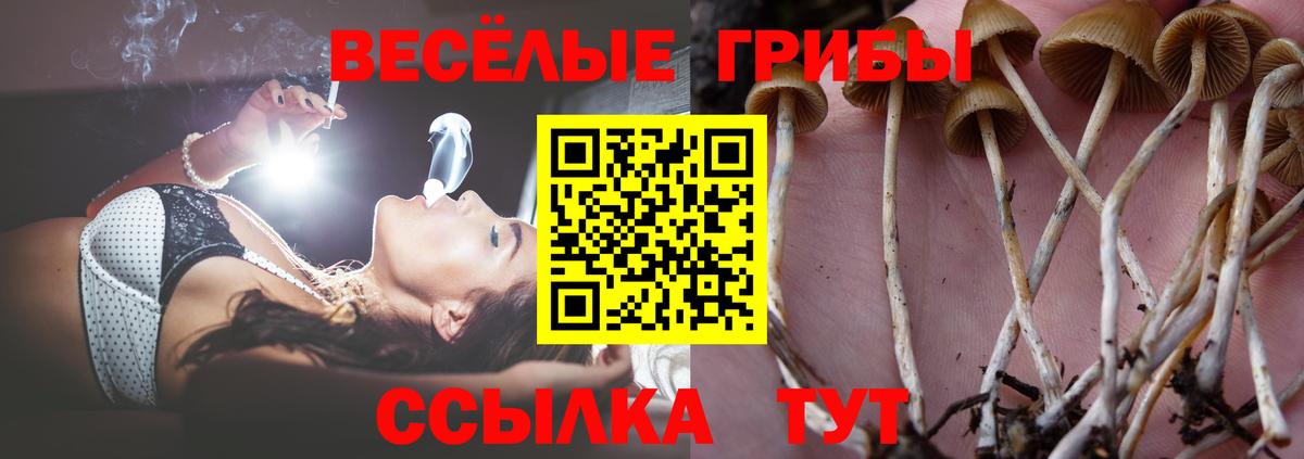 Псилоцибиновые грибы прущие грибы  Вход с VPN  Псилоцибиновые грибы Cubensis  Первоуральск 